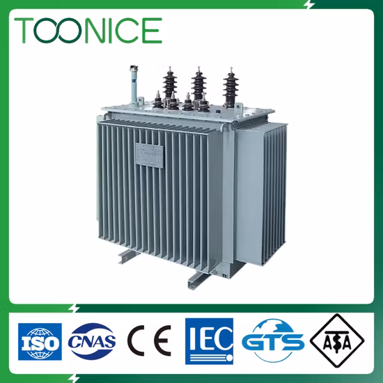 20 25 30 33 35 40 50 60 63 70 75 80 kVA 10 11 33 Kv/ 0.4 Kv 400V 3 Phase Step Down Automobile Car Charging Station Oil Immersed Distribution Power Transformer