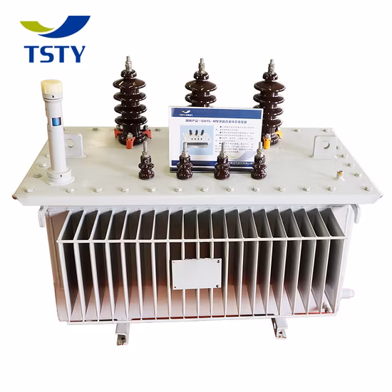 20 25 30 33 35 40 50 60 63 70 75 80 kVA 10 11 33 Kv/ 0.4 Kv 400V 3 Phase Step Down Automobile Car Charging Station Oil Immersed Distribution Power Transformer